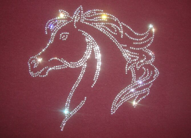 Horse Rhinestone T-shirt Horse Lovers Gift T-shirt